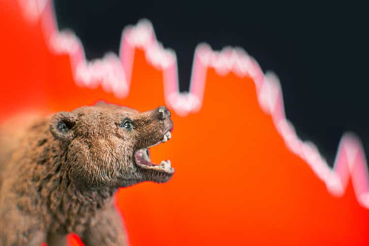 Price crash and bear market