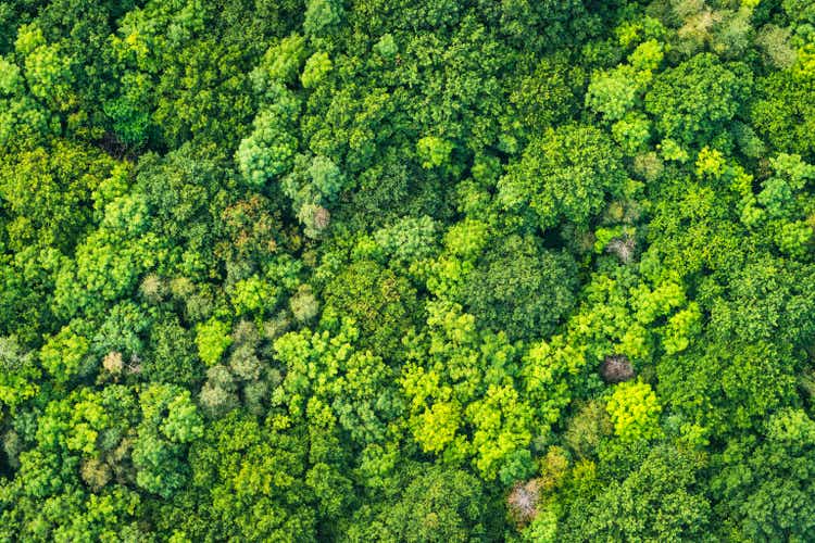 Aerial photograph vibrant green tree canopy natural forest background