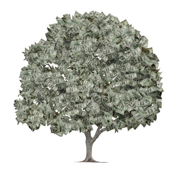 Tree with Leaves Made Out of Hundred Dollar Bills