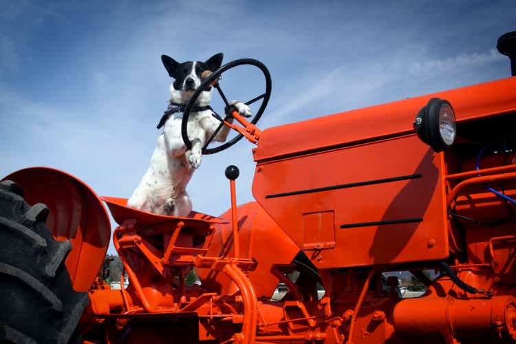 Tractor dog