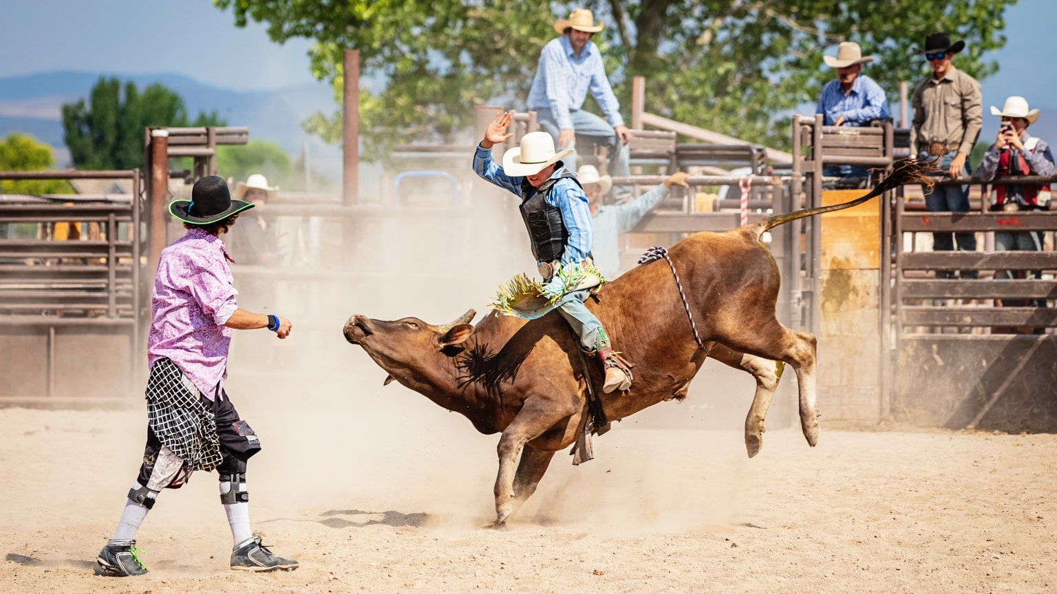 336 Hats Off Cowboy Stock Photos, High-Res Pictures, and Images - Getty  Images