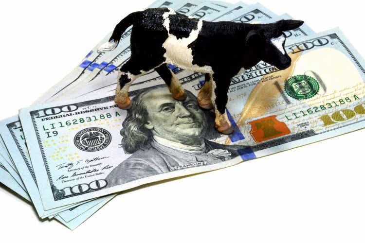 Cash Cow