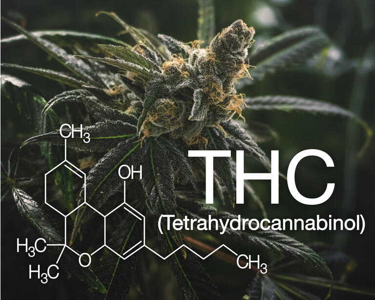 India Globalization Capital Receives Patent To Treat Alzheimer's With Cannabis Drug