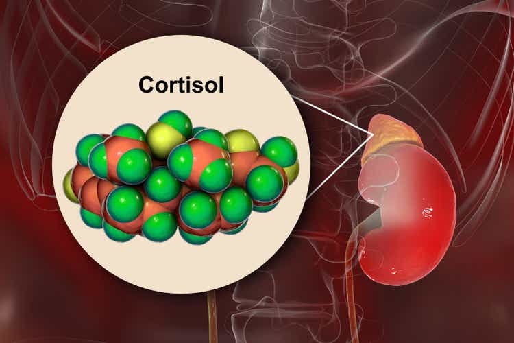 Molecule of cortisol hormone and adrenal gland