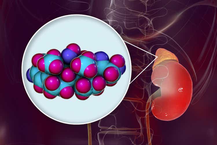 Molecule of cortisol hormone and adrenal gland