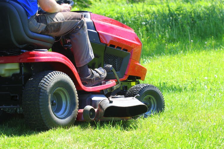 Gardener drives a lawn mower walking in a garden