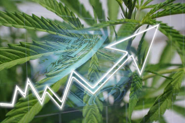 Cannabis Industry Profits