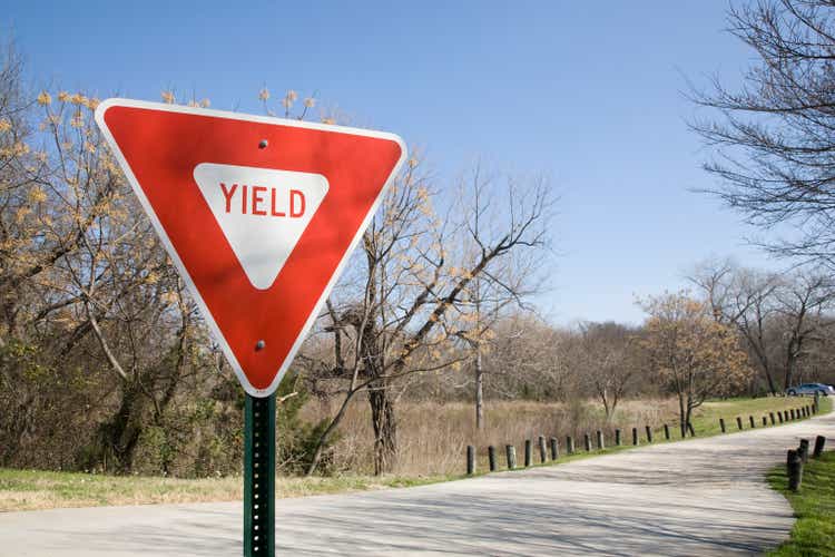 Yield Sign In Dappled Sunlight