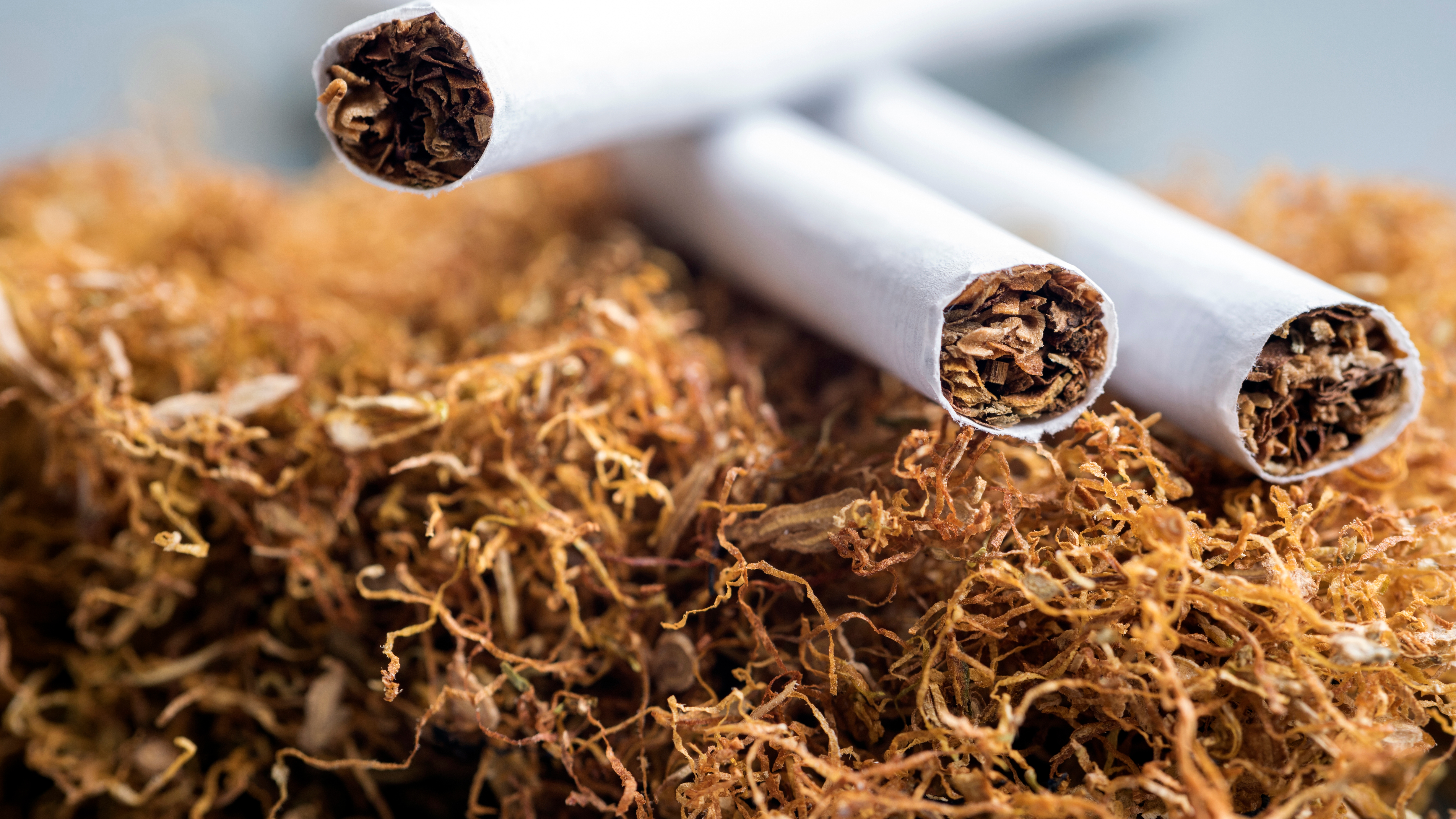 cigarette smoke in car how to remove The Only REAL Way to Remove Cigarette & Smoke Smell From Your Car cigarette smoke in car how to remove The Only REAL Way to Remove Cigarette & Smoke Smell From Your Car