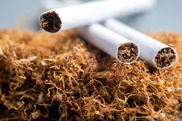 View of the cigarettes and tobacco stack. The tobacco plant is part of the genus nicotiana and of the solanaceae (nightshade) family.