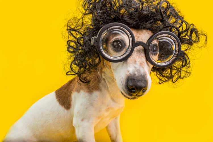Curious nerd smart dog face in round professor glasses and curly black afro style hairstyle. Education. Yellow background