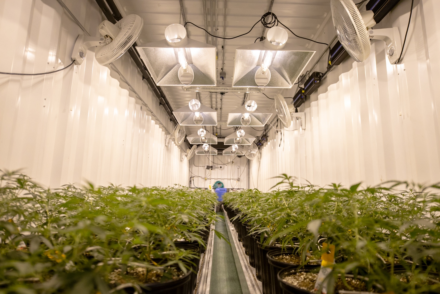 Hydrofarm Contends With Industry Downturn But May Become Acquisitive (NASDAQ:HYFM) - Vimarsana News