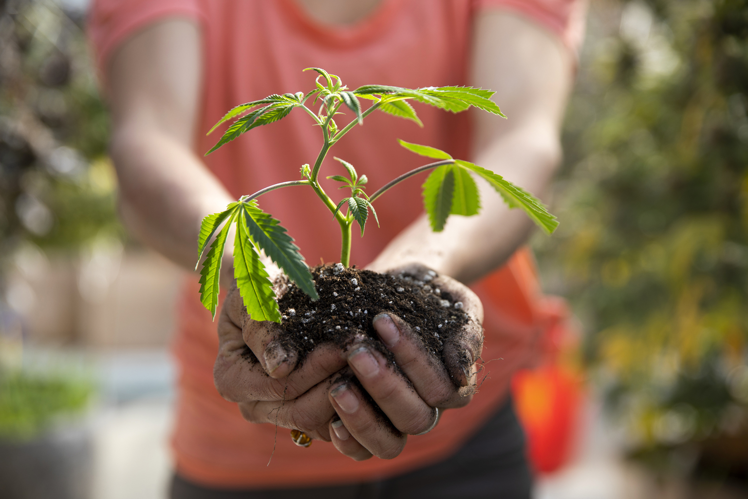 seekingalpha.com - The Supercycle Investor - NewLake Capital Partners: Two Big Catalysts Ahead (OTCMKTS:NLCP)
