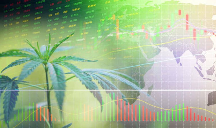 Business cannabis stock leaves marijuana success market price green profit growth