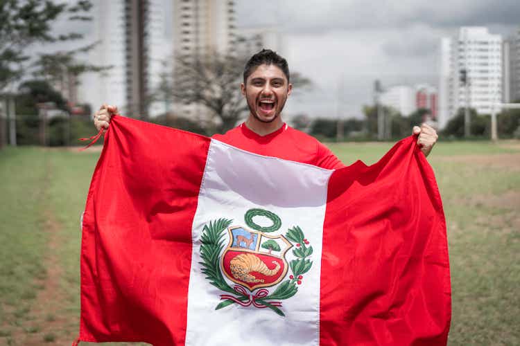 Portrait male fan holding peruvian flag