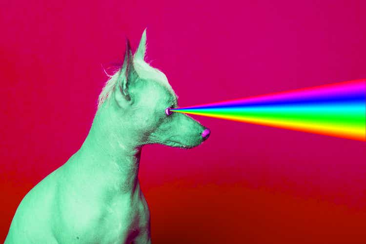 Fashion hipster Dog with rainbow lasers from eyes.