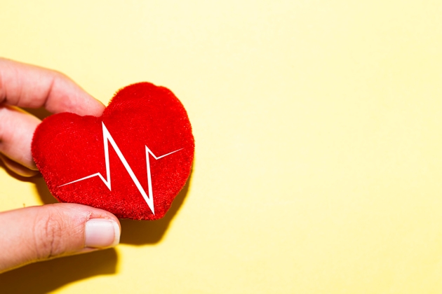 adult hands holding red heart with cardiogram