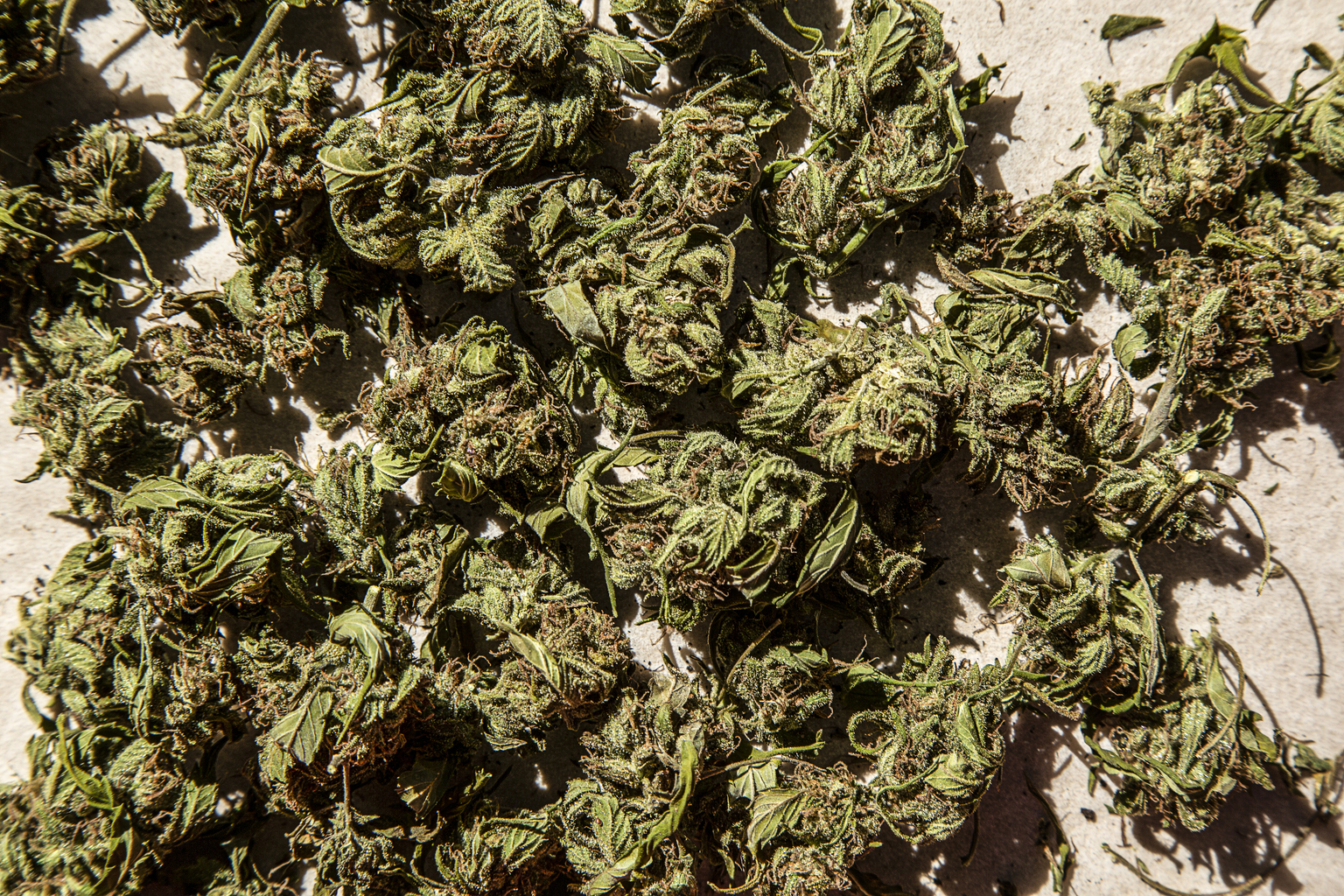 seekingalpha.com - Julian Lin - Cronos: Invest In Cannabis With 50% Net Cash And GAAP Profitability (CRON)