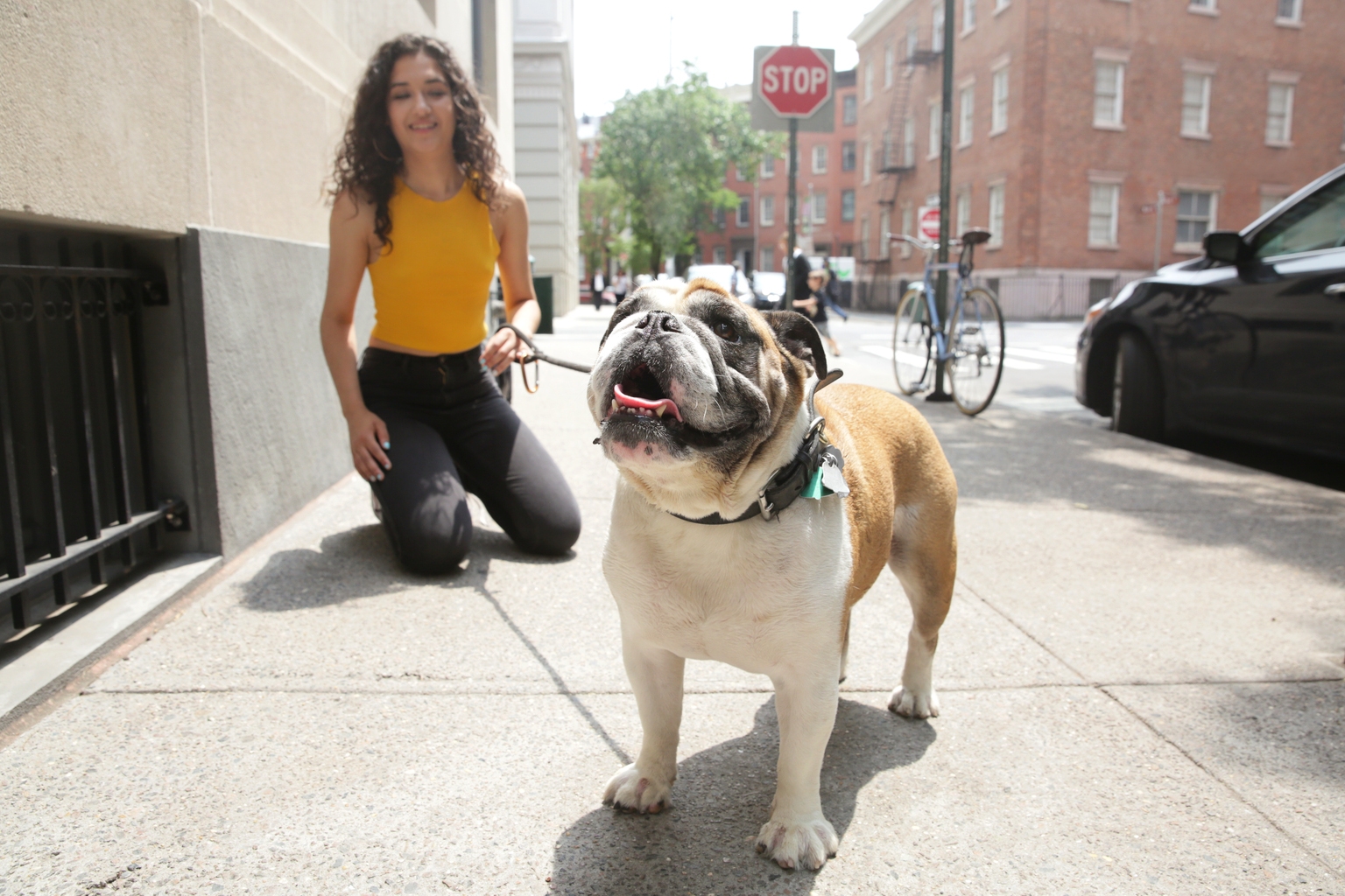 Dog Days On The Dow: No Buys With Weak Watching