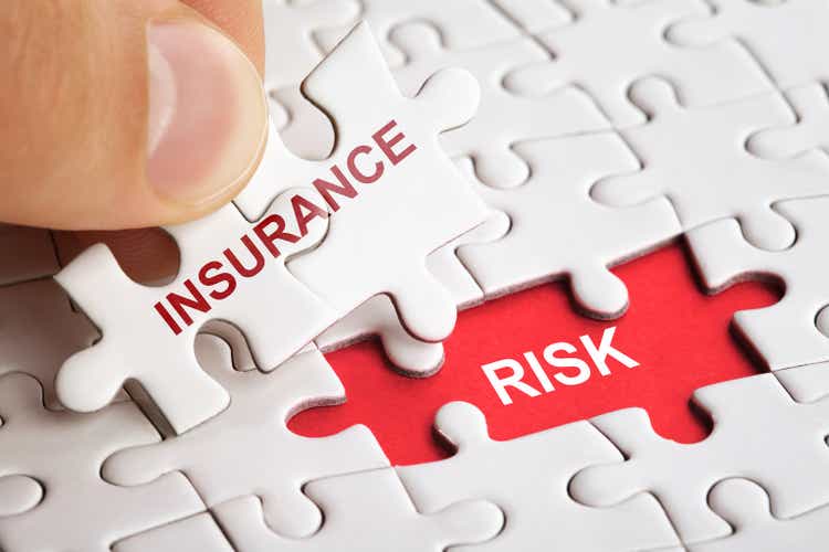 A hand holding a puzzle piece with the word INSURANCE RISK.