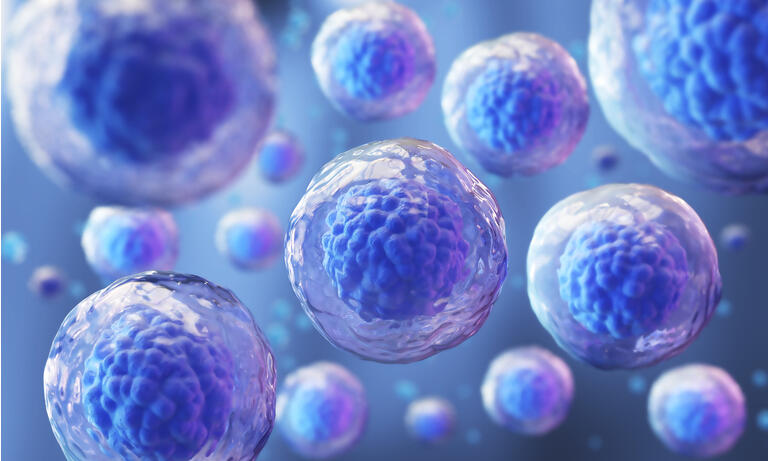 Biotech Bonanza: Promising Second Half Outlook