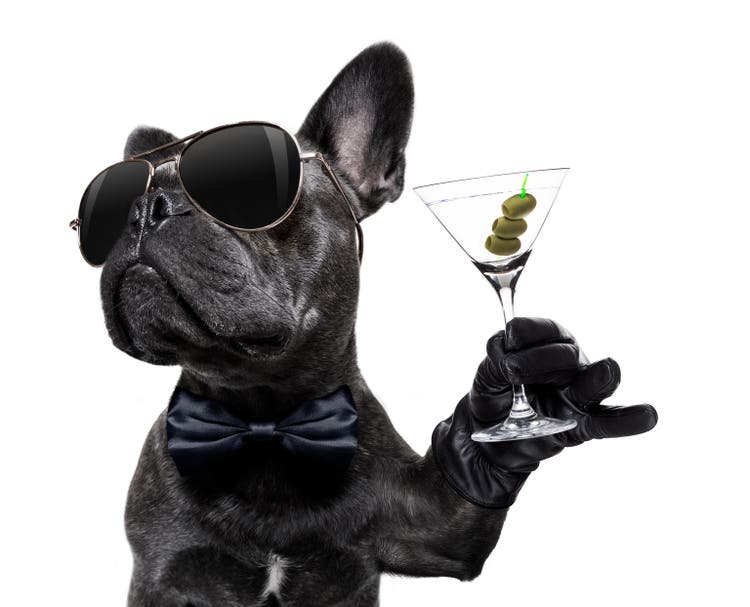 drunk dog drinking a cocktail