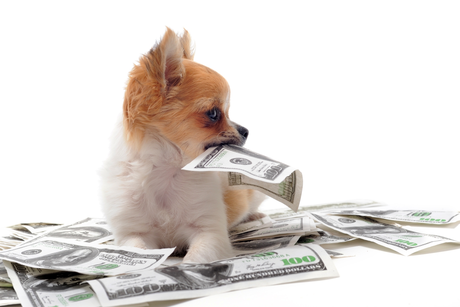 DIVO: It's Hard To Stand Out In Today's Market