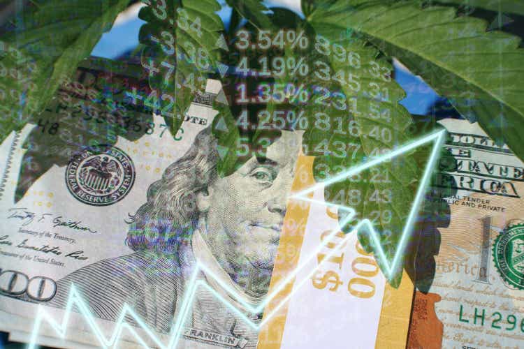 Cannabis Stock Soaring With Marijuana Plant On Hundred High Quality