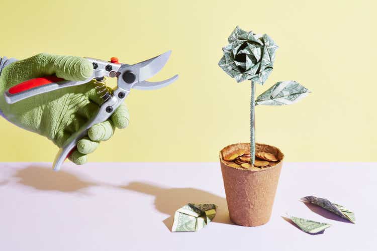 An origami dollar flower is pruned