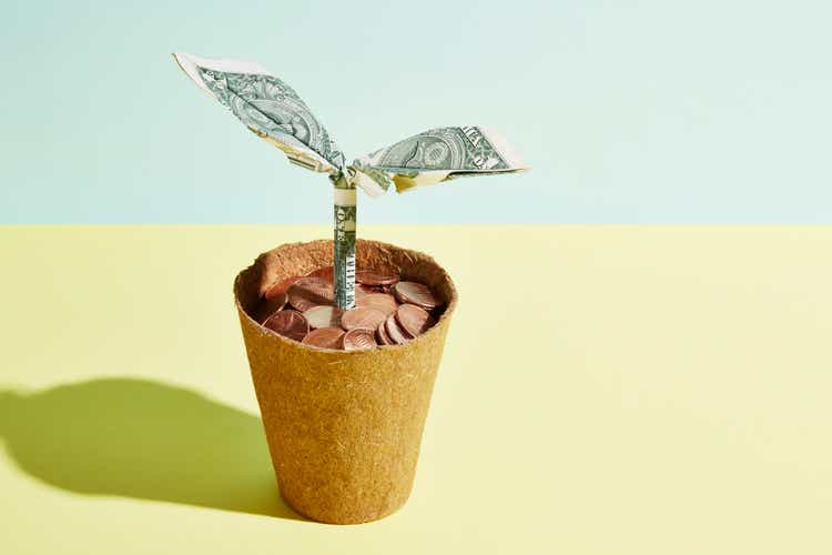 Origami dollar seedling growing in a flower pot full of coins