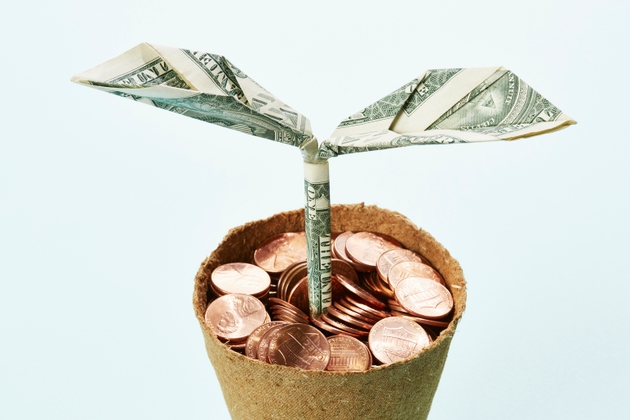Dollar note seedling growing in a flower pot full of coins