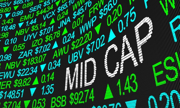 Mid Cap Stock Market Class Investment Companies 3d Illustration