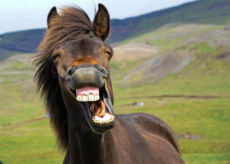 Laughing Horse