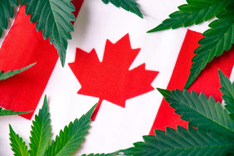 Detail of canadian flag with cannabis leaves
