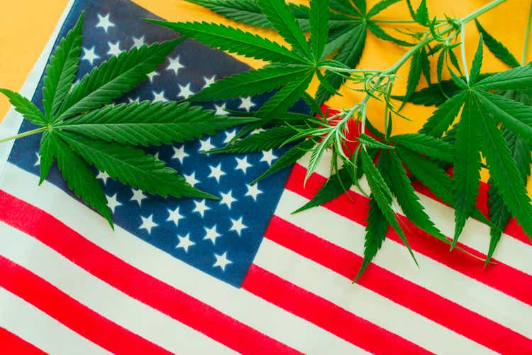 hemp leaves on the background of the American flag
