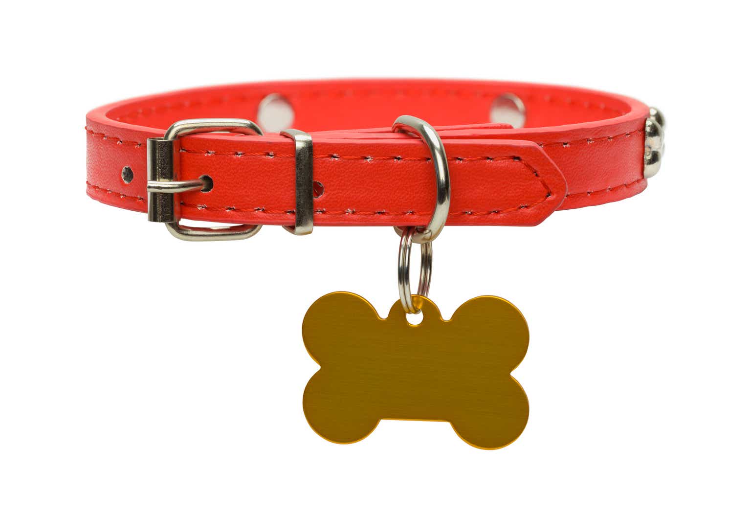 March/April Readers Tagged 7 Ideal Dividend Dogs From 12 'Safer' Of 36