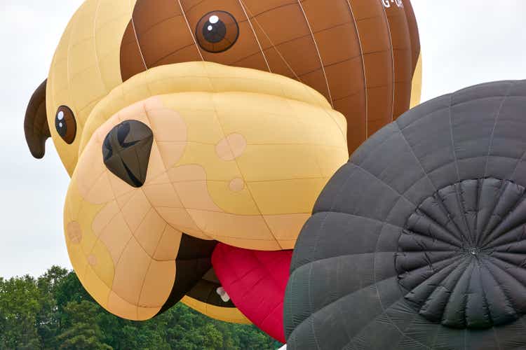 Special shape hot air balloon in shape of dog head