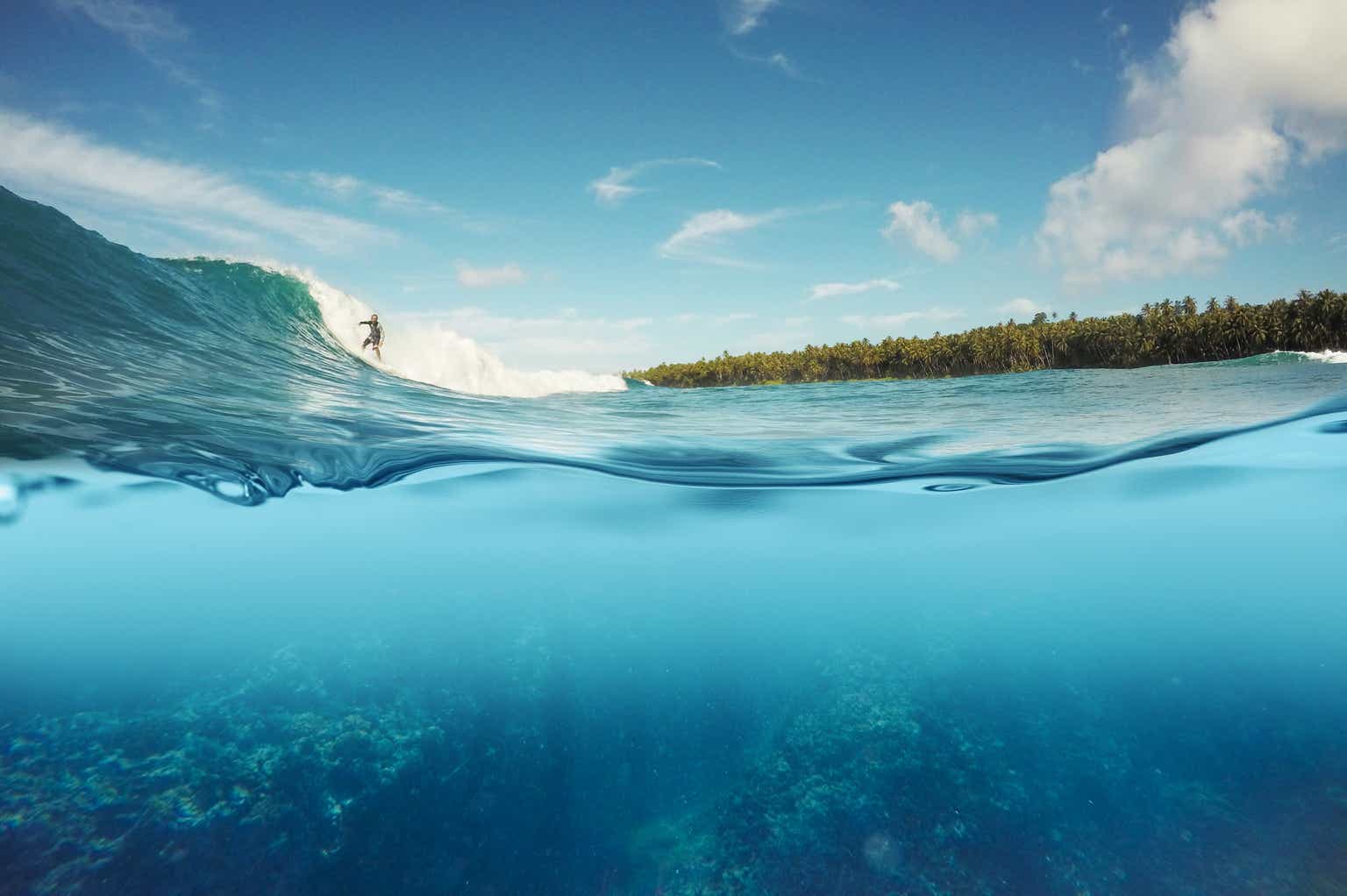 Half water. Half Underwater shot.