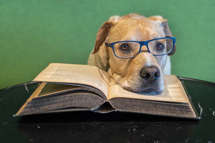 Dog with eyeglasses lying on open big book. Tired reader. Study for exams