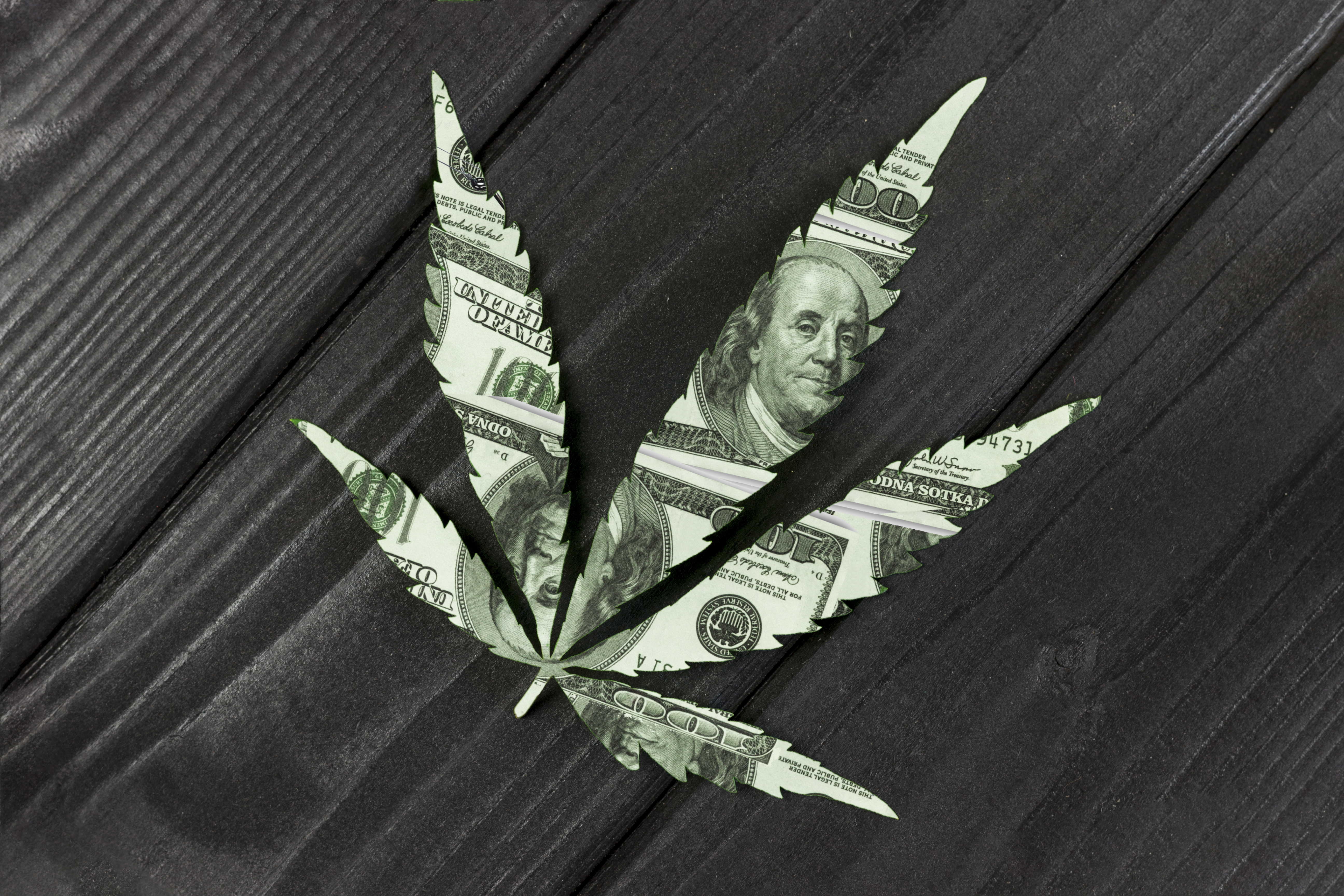 Top 5 Cannabis Or Marijuana Stocks By Performance | Seeking Alpha