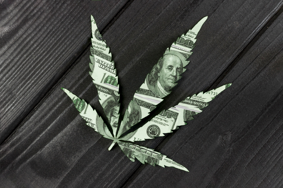 Top 5 Cannabis or Marijuana Stocks by Performance Seeking Alpha