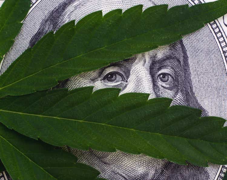 Close-up Photo of Cannabis leaves over United States Dollar Bills Isolated on White Background.