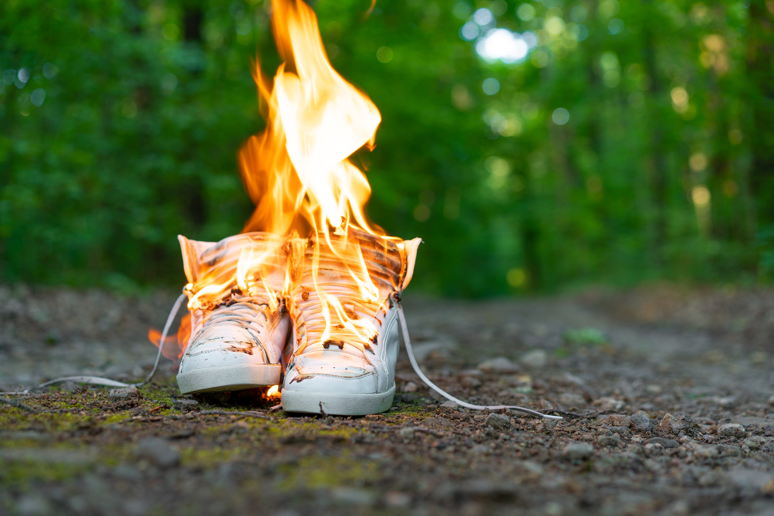 seekingalpha.com - Pedro Goulart - Zumiez: Sneakerpocalypse Is Testing The Turnaround (NASDAQ:ZUMZ)
