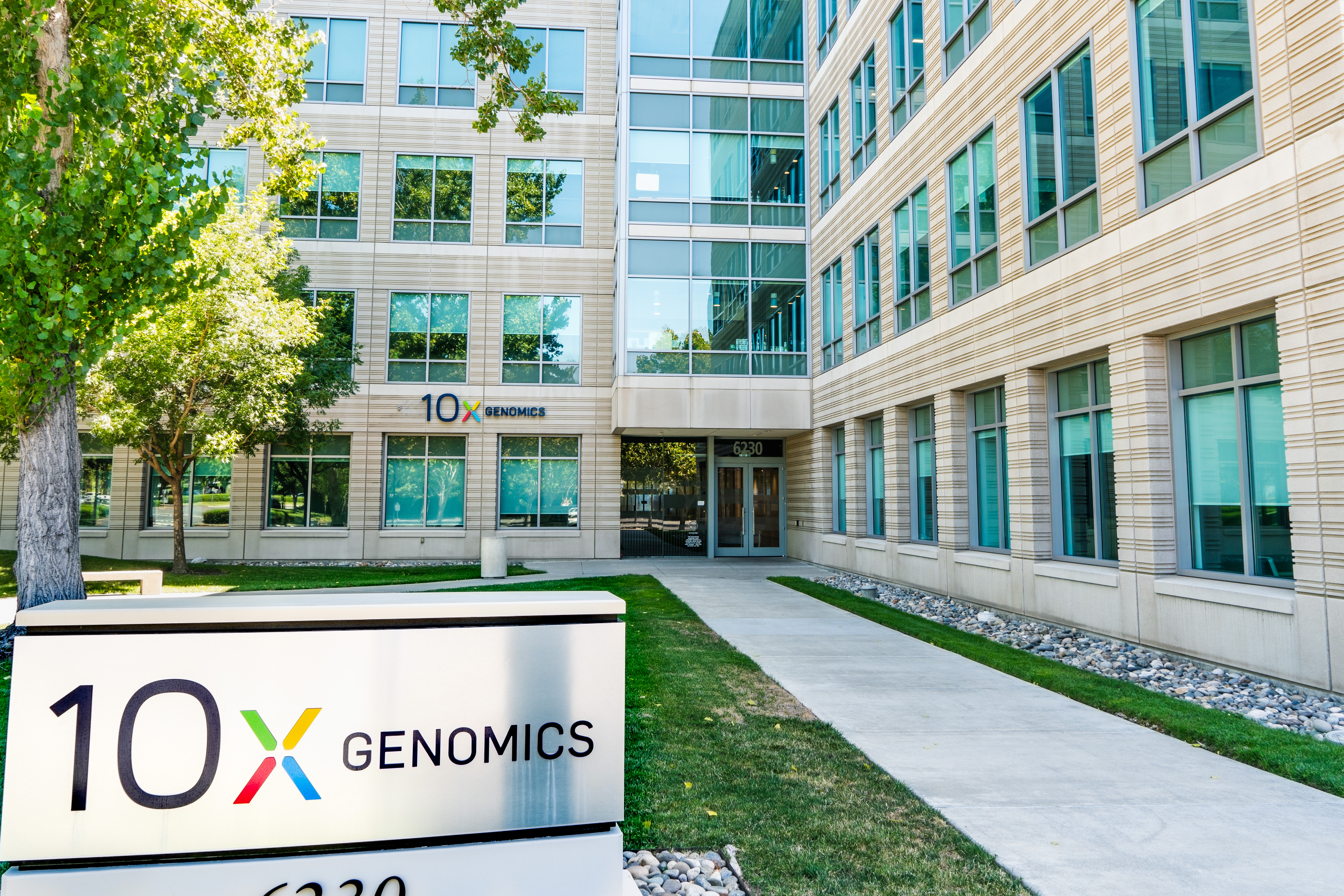 10x Genomics: Promising Growth From Leading Single Cell Specialist ...