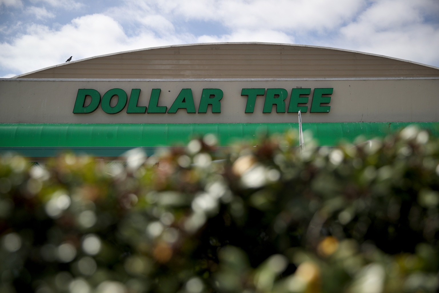 Dollar Tree Stock Don't Be Fooled By The Solid Revenue Growth (NASDAQ