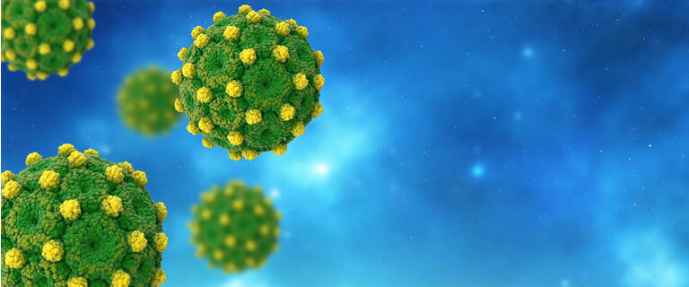 Vaccitech Hepatitis B Candidate Shows Encouraging Preliminary Results ...