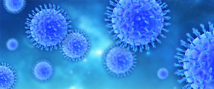 Micro models of influenza viruses