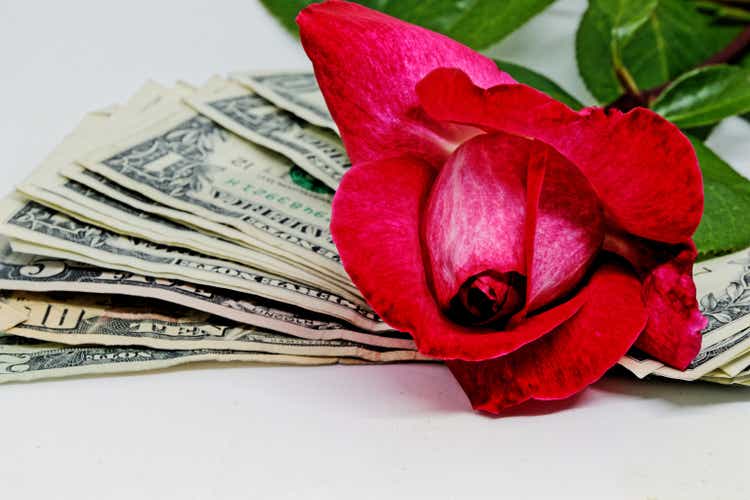 red rose flower and money notes
