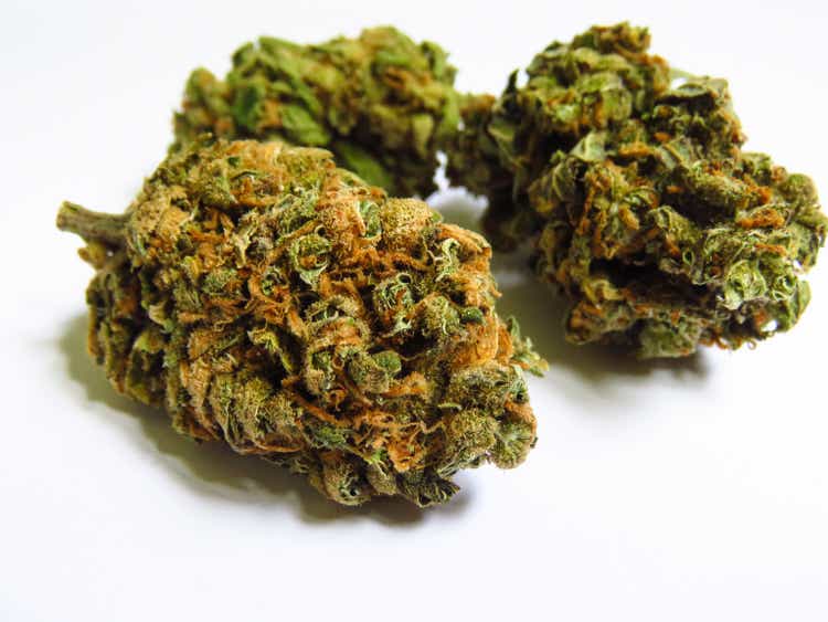 Medical cannabis buds - Lemon haze