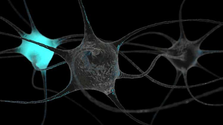 Neuron cluster signal transfer inside brain